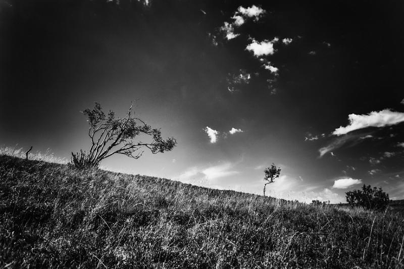 2017_08_23_Vosges (0055)_b-w.jpg - Hohneck (Vosges 2017)